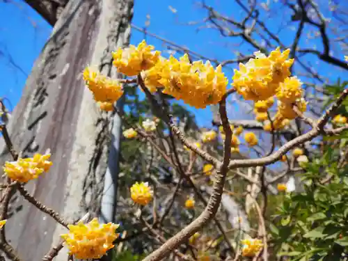 荏柄天神社(神奈川県)