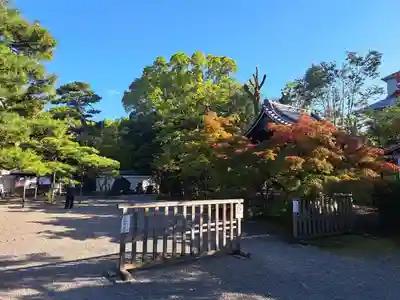 廬山寺(廬山天台講寺)(京都府)