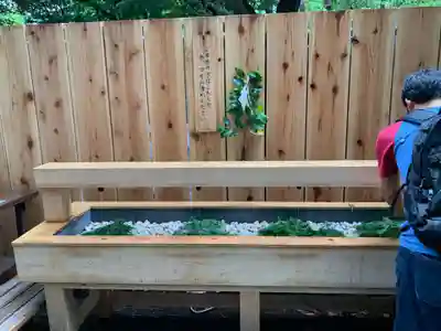 乃木神社の手水舎