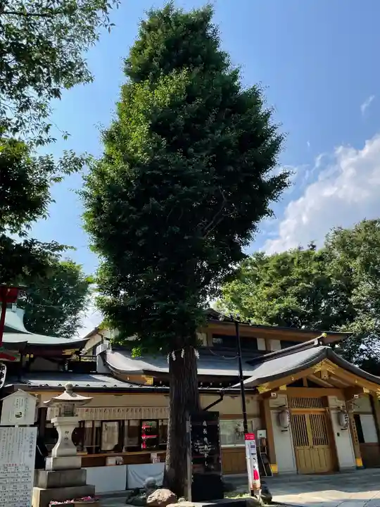 居木神社の自然
