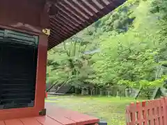 静岡浅間神社(静岡県)