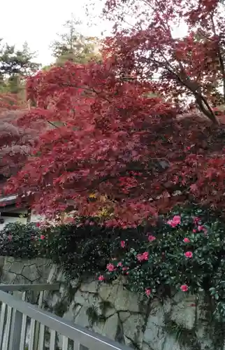 高幡不動尊　金剛寺の自然