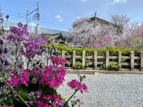 六孫王神社の自然