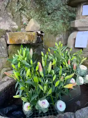 石上神宮(奈良県)