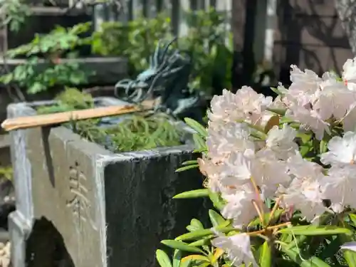 常性寺の手水舎