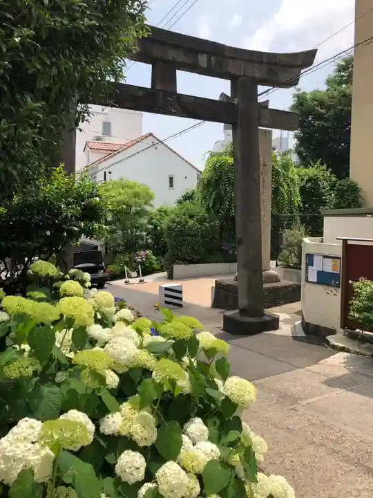 白山神社の鳥居