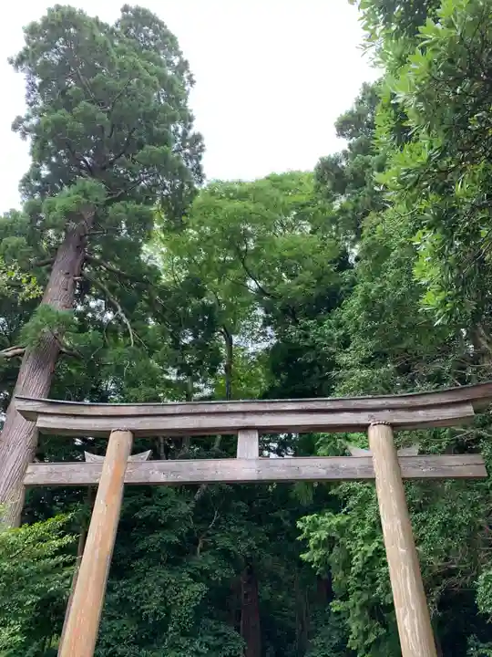 若狭彦神社(上社)の鳥居
