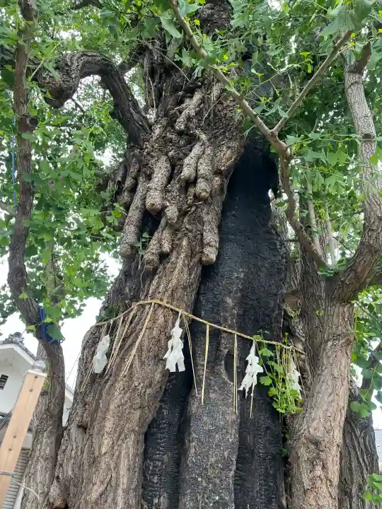 飛木稲荷神社(東京都)