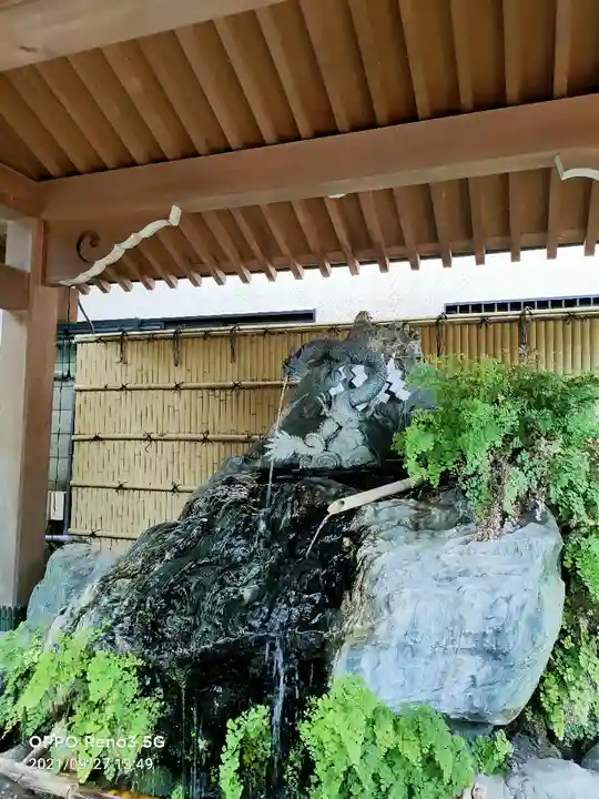 馬橋稲荷神社の手水舎