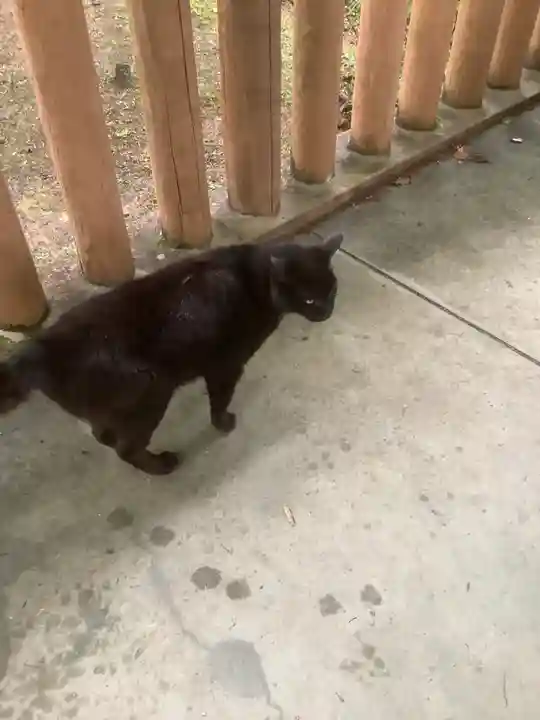 玉野御嶽神社(愛知県)