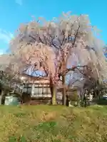 大安寺(宮城県)