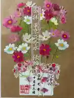 法輪寺の御朱印