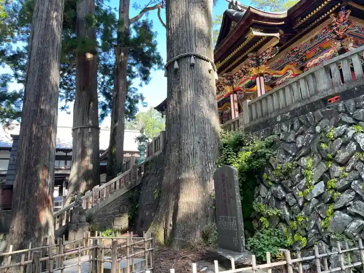 三峯神社(埼玉県)