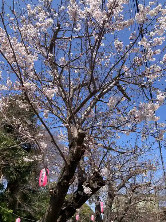 稱名寺(称名寺)(神奈川県)