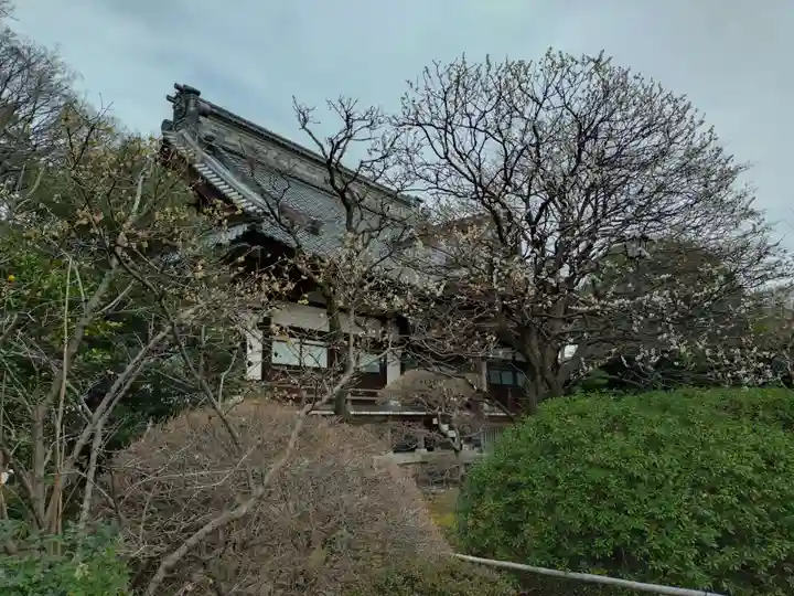 高円寺(東京都)
