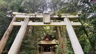 蛭子神社(京都府)