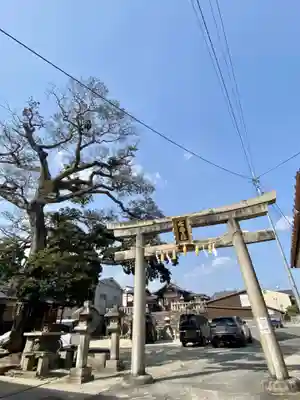 櫟谷七野神社(京都府)