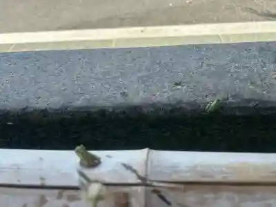 桑野神社の{uncategorized: "未分類", other: "その他", undefined: "問題あり", building: "その他建物", grave: "お墓", sacred_gate: "鳥居", guardian: "狛犬", statue: "像", buddha: "仏像", history: "歴史", nature: "自然", garden: "庭園", animal: "動物", pagoda: "塔", temizu: "手水舎", mountain_gate: "山門・神門", sanctuary: "本殿・本堂", subordinate: "末社・摂社", art: "芸術", scenery: "景色", jizo: "地蔵", ema: "絵馬", goshuin: "御朱印", omikuji: "おみくじ", items: "授与品その他", amulet: "お守り", goshuincho: "御朱印帳", eats: "食事", festival: "お祭り", votive_dance: "神楽", shichigosan: "七五三参", wedding: "結婚式", experience: "体験その他", initially: "初詣", around: "周辺", anti_infection: "感染症対策"}