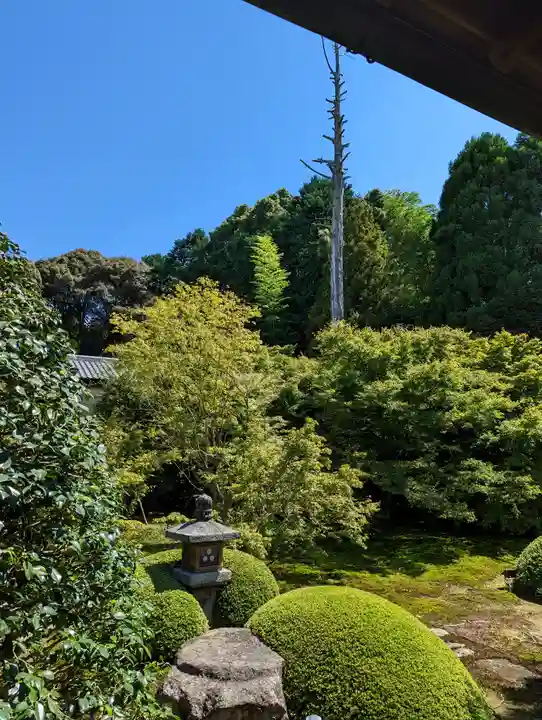 雲龍院(京都府)