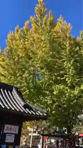 瀧宮神社(広島県)(2025年11月23日(日) 07時43分57秒投稿)