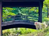 土津神社|こどもと出世の神さま(福島県)