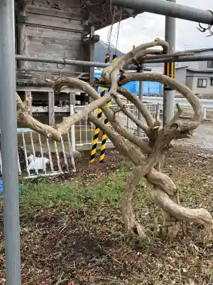 月崎神社の{uncategorized: "未分類", other: "その他", undefined: "問題あり", building: "その他建物", grave: "お墓", sacred_gate: "鳥居", guardian: "狛犬", statue: "像", buddha: "仏像", history: "歴史", nature: "自然", garden: "庭園", animal: "動物", pagoda: "塔", temizu: "手水舎", mountain_gate: "山門・神門", sanctuary: "本殿・本堂", subordinate: "末社・摂社", art: "芸術", scenery: "景色", jizo: "地蔵", ema: "絵馬", goshuin: "御朱印", omikuji: "おみくじ", items: "授与品その他", amulet: "お守り", goshuincho: "御朱印帳", eats: "食事", festival: "お祭り", votive_dance: "神楽", shichigosan: "七五三参", wedding: "結婚式", experience: "体験その他", initially: "初詣", around: "周辺", anti_infection: "感染症対策"}