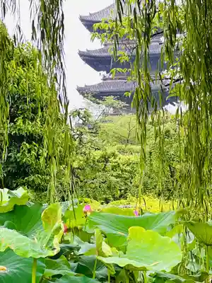 東寺（教王護国寺）(京都府)