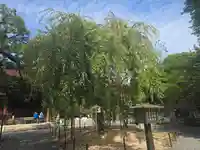 大報恩寺(千本釈迦堂)(京都府)