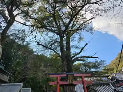 朝護孫子寺(奈良県)