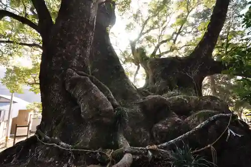 須賀神社(高知県)