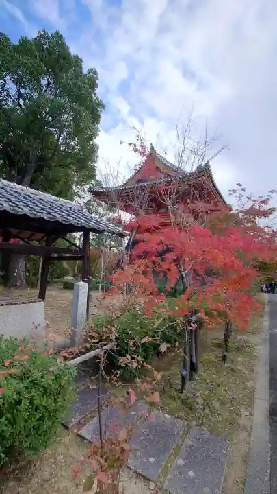 仁和寺の{uncategorized: "未分類", other: "その他", undefined: "問題あり", building: "その他建物", grave: "お墓", sacred_gate: "鳥居", guardian: "狛犬", statue: "像", buddha: "仏像", history: "歴史", nature: "自然", garden: "庭園", animal: "動物", pagoda: "塔", temizu: "手水舎", mountain_gate: "山門・神門", sanctuary: "本殿・本堂", subordinate: "末社・摂社", art: "芸術", scenery: "景色", jizo: "地蔵", ema: "絵馬", goshuin: "御朱印", omikuji: "おみくじ", items: "授与品その他", amulet: "お守り", goshuincho: "御朱印帳", eats: "食事", festival: "お祭り", votive_dance: "神楽", shichigosan: "七五三参", wedding: "結婚式", experience: "体験その他", initially: "初詣", around: "周辺", anti_infection: "感染症対策"}