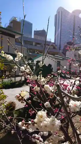 成子天神社の自然