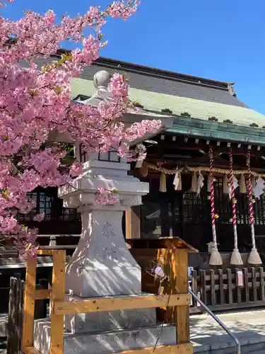 新宿下落合氷川神社(東京都)
