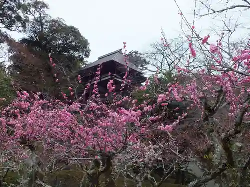 石山寺(滋賀県)
