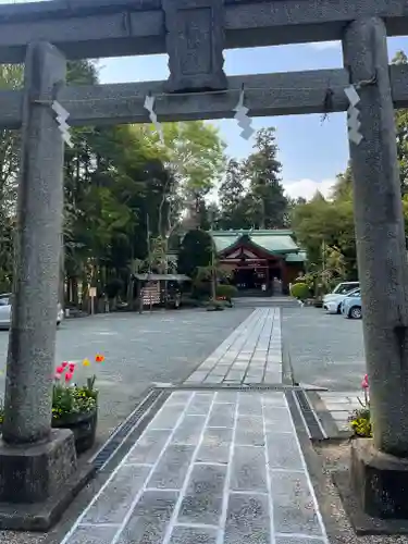 新橋浅間神社の鳥居