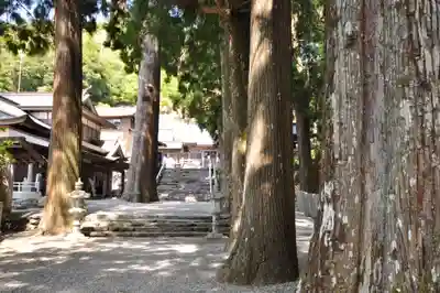 焼山寺(徳島県)
