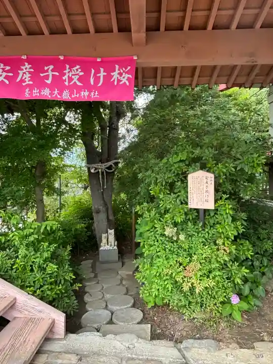 差出磯大嶽山神社 仕事と健康と厄よけの神さま(山梨県)