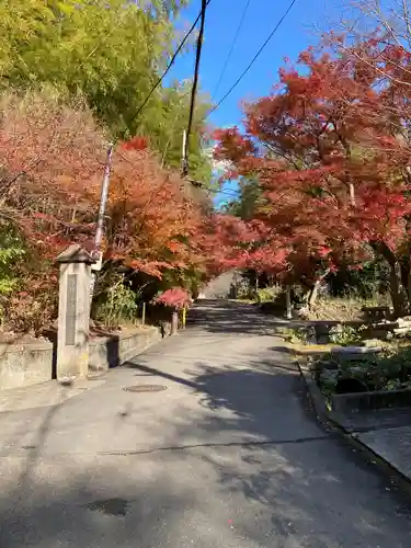 半僧坊大権現の建物その他