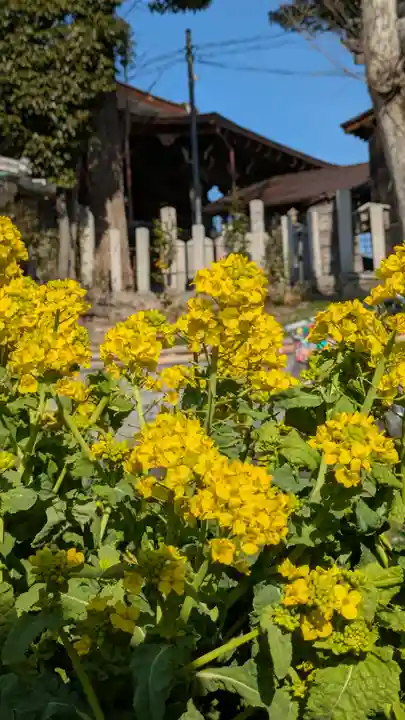 玉田神社(京都府)