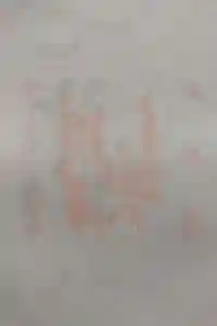 安乎岩戸信龍神社　(安乎八幡神社 摂社)の御朱印