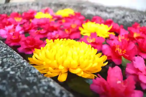 三津厳島神社の手水舎
