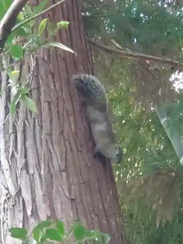 舞岡八幡宮(神奈川県)