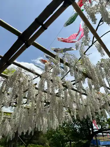 白旗神社(神奈川県)