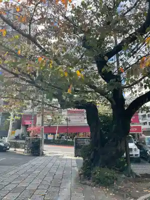 大信寺(東京都)