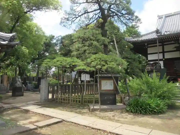 国土安穏寺(東京都)