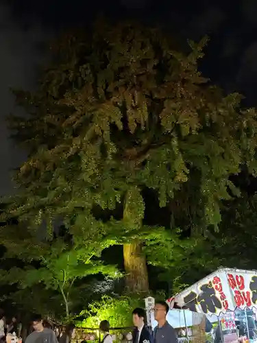 七社神社(東京都)