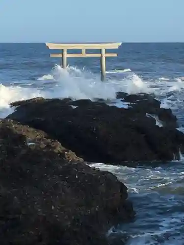 大洗磯前神社の自然