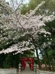 彌都加伎神社の建物その他