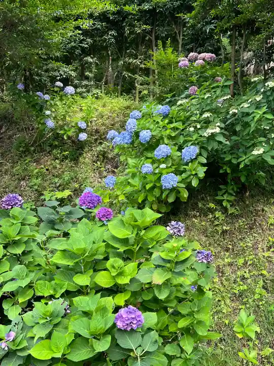 円覚寺(神奈川県)