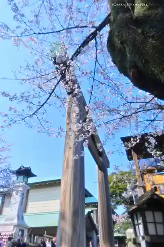 伊勢山皇大神宮(神奈川県)